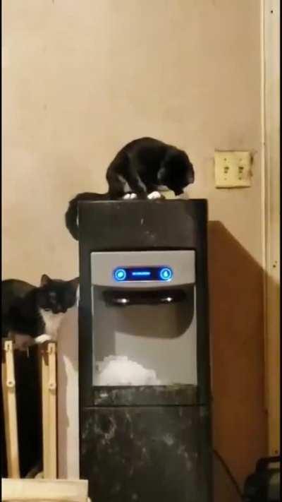 What does this do!!?😅