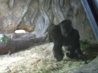 Does keep away from to have quality time count?