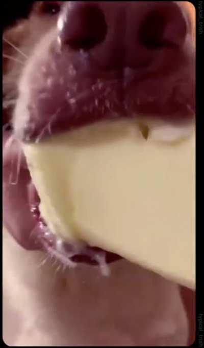 He’s like chill guys I’m keto