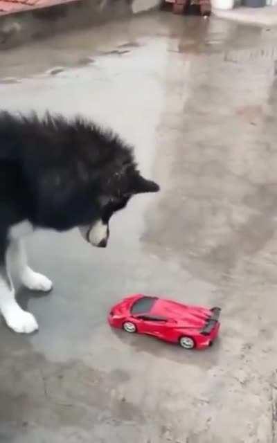 Ight imma head out...