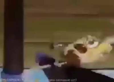 I'm 15 and this is yeet