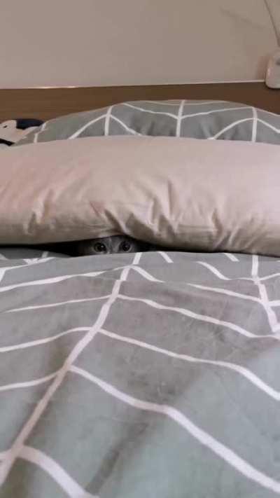 You have to act surprise!