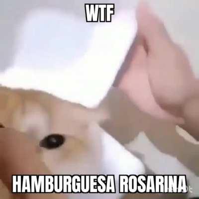 Ta para pedirla con el combo