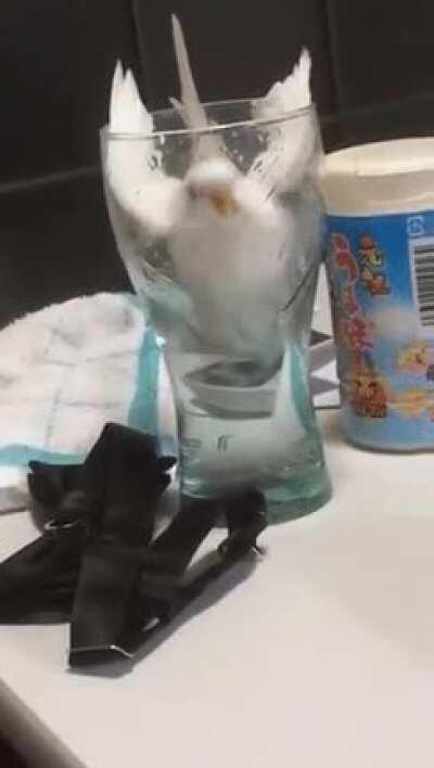 I’m just going take a quick sip