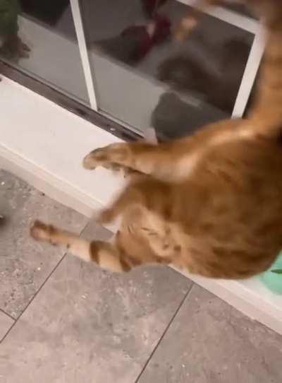 HMC while I perform acrobaticats