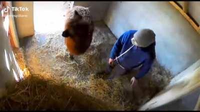 Thanks for the food .. but no thanks.