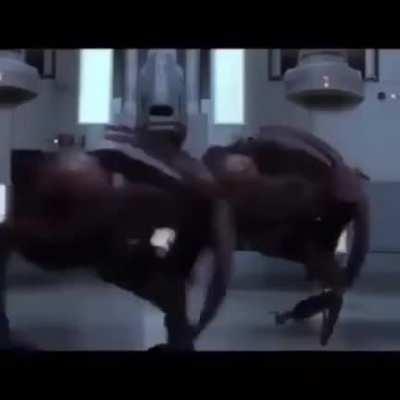 So that is how they are made