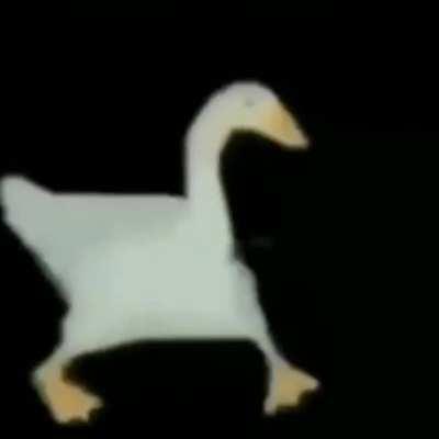 Plaka yerli bak, sırtı terli çok Ve başı dertli vah, eski hali yok Ne olacak? wow, wow, wow Yükselen ben değilim bak alçalan duvarlar Plaka yerli bak, sırtı terli çok Ve başı dertli vah, eski hali yok Ne olacak? wow, wow, wow Yükselen ben değilim bak alça