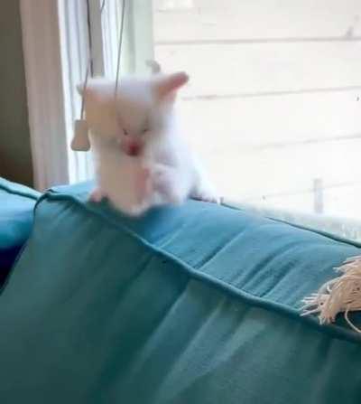 White belt in karate