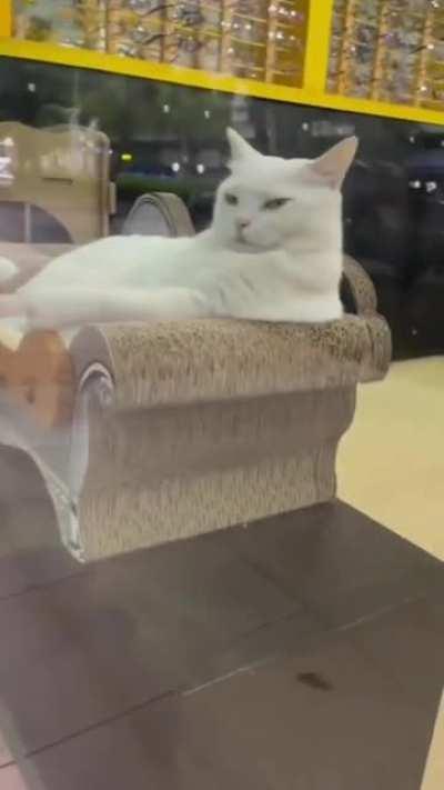 That's right, I own this couch, I own this place, ... and i own YOU.