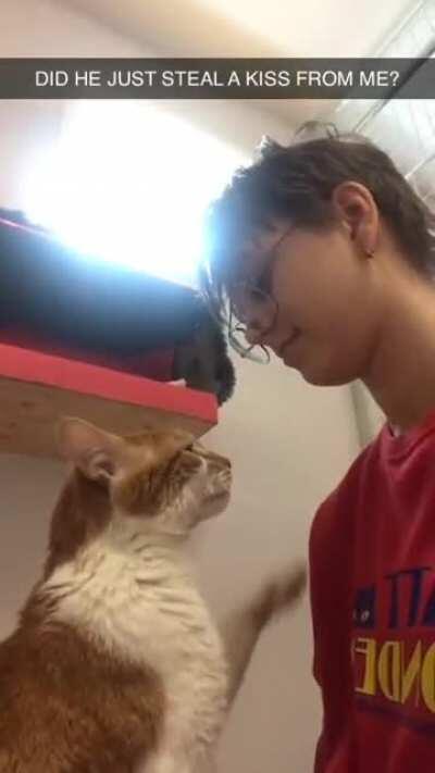 Cat gives owner a kiss
