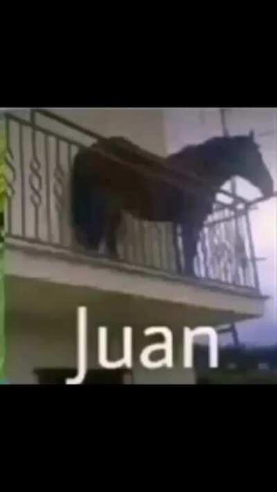 LLuan?!?!?😭😭😭