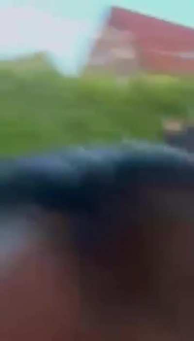 Far right Anti-CSD demonstrators attack a woman and get arrested shortly after (Germany)