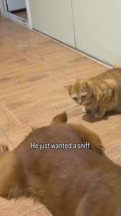 Bro i just wanted a .......😭