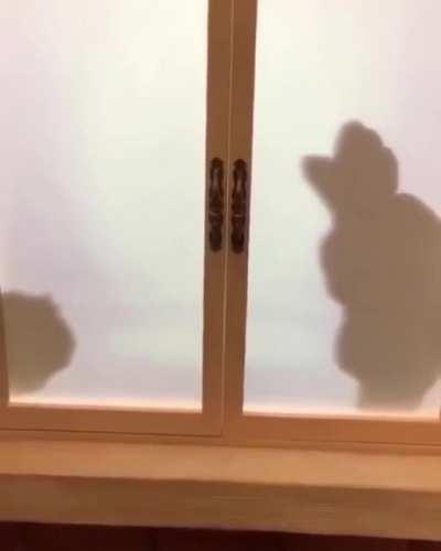 This toy story shadow box