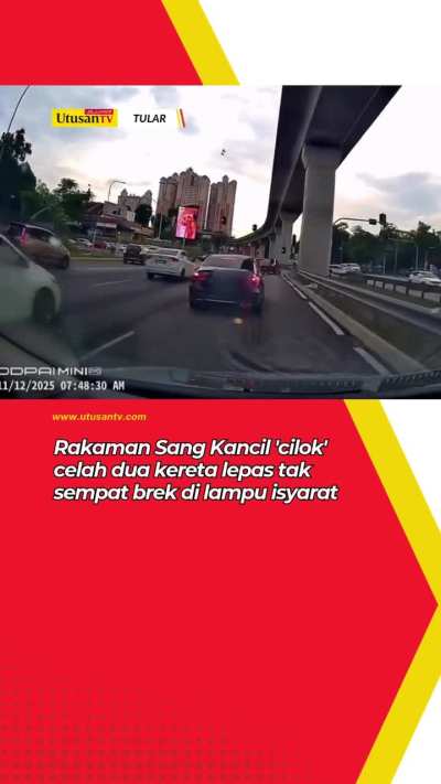 Mr. Kancil thought he was small & agile like a good little jungle mousedeer and tried squeezing in the gap between 2 cars to beat the traffic light at Subang Jaya. Didn't end well.