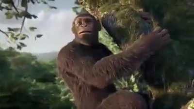 Oompa fans when he uploads a video