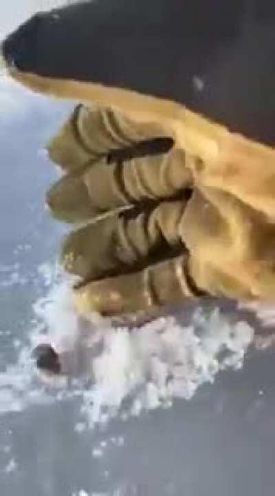 Is this video fake? If not then what exactly is happening here?