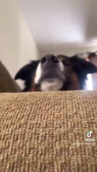 Did you catch that drip? 💧