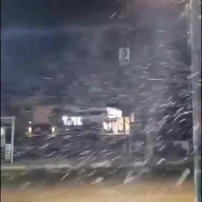 One more snow video...Snow in Zarqa ❄️