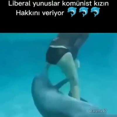 ð¬ð¬ð¬