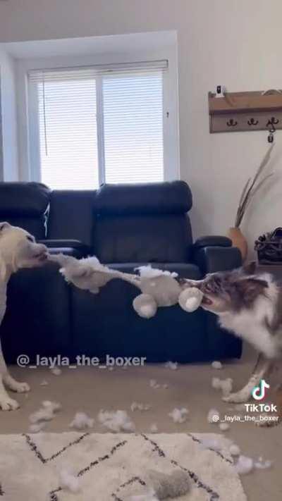 When the urge is too strong