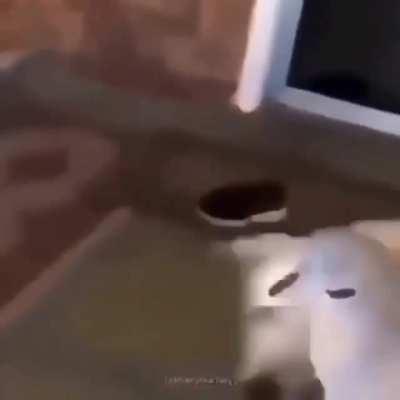 video conchetumare XDDD