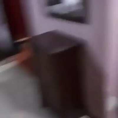 😡 Daniel virou uma barata