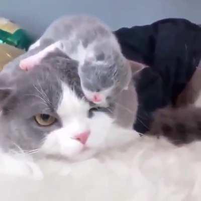 Parenthood is not what I expected