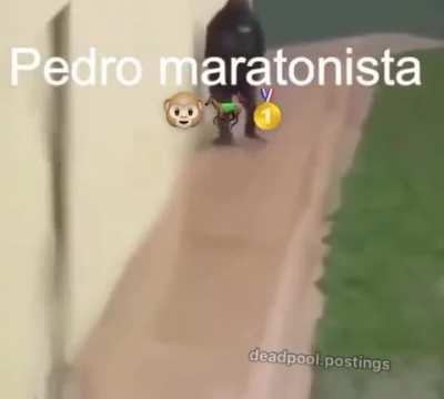 CTM Silvio te aposte mucho corre orangután sucio 🤬