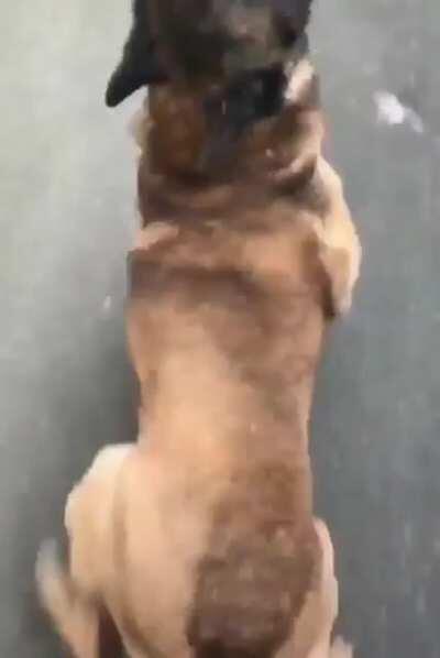 Gotta catch up, ill wait for ya