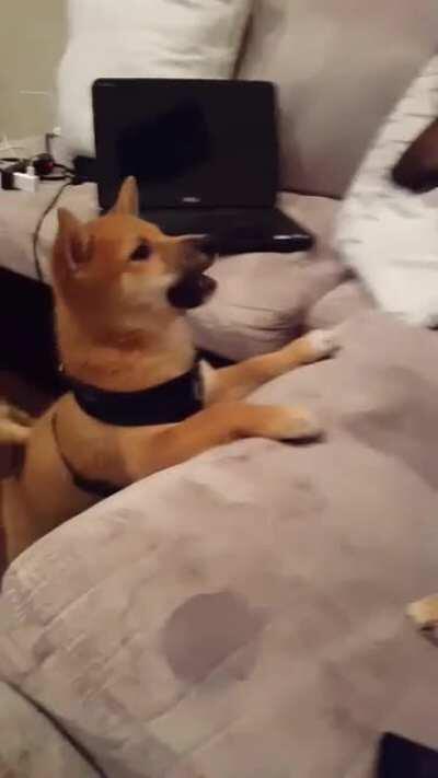 So glad he outgrew this 😬 (sound on)