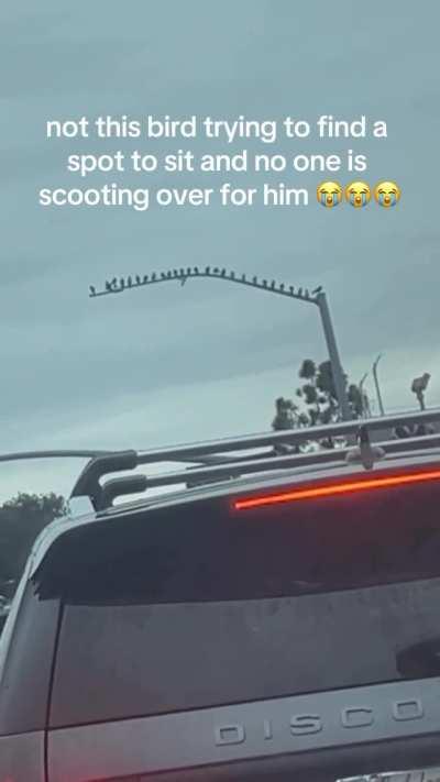 You gonna get some place