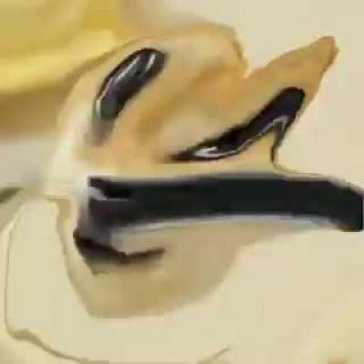 mods took down my post on main sub fuck dogelore mods altdogelore is better