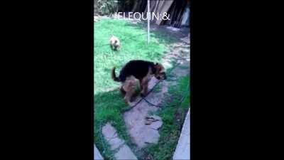 ella es la mas hermosa, admírenla