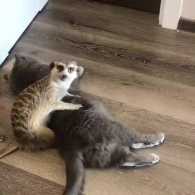 Let's play some games