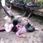 Little men, Big guns