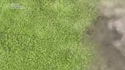 Russian tank vs Ukrainian drone