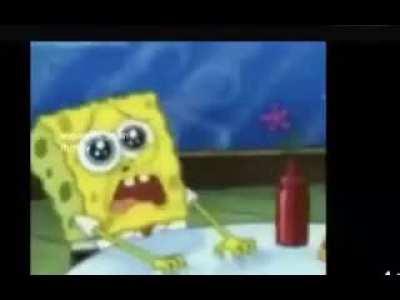 Spongebob says trans rights!