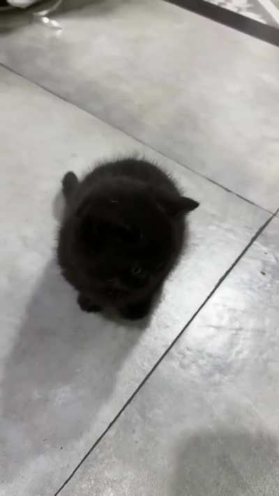 look who visited me today :)