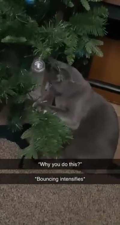 My wife and I are confused why he does this