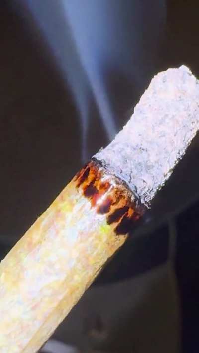 Burnt 🥵 toast 🫗