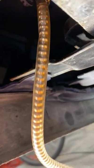 This coolant is actually draining **down** this hose.