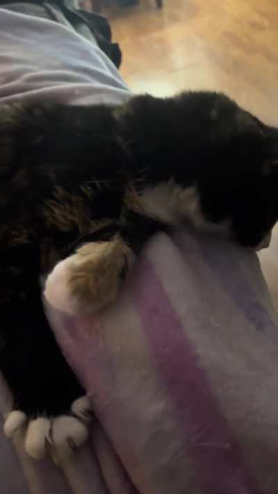 Scratches always bring out Email’s rumbles (plus some bonus air biscuits).