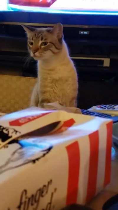 When you get a whiff of that fried chicken...