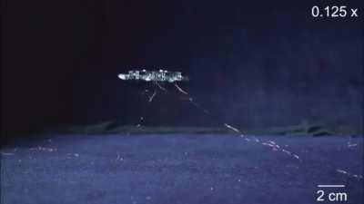 THE FEDS ARE IN MY BATHROOM