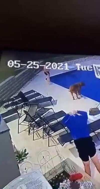 Was trying to get away from my friends big dog but wasn't paying attention.