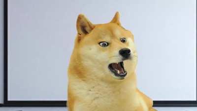 Le new anime pitch has arrived