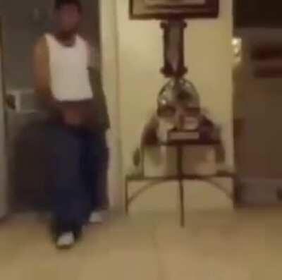 Malandro chegando em casa