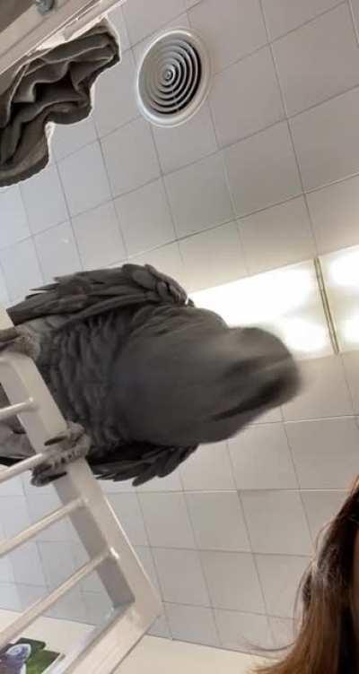 Picasso grooving as always